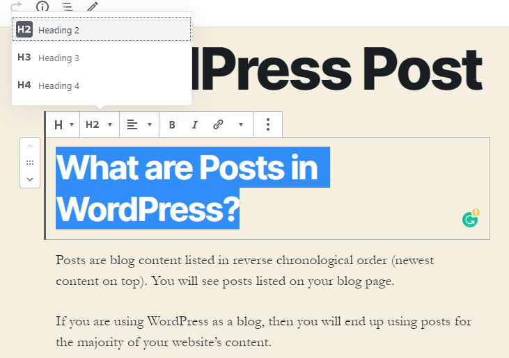 WordPress Post