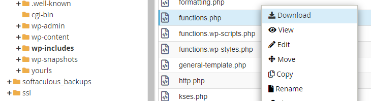 Functions.php